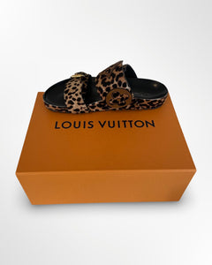 Louis Vuitton | Size 39